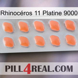 Rhinocéros 11 Platine 9000 26